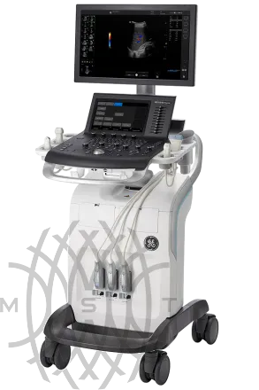 Ультразвуковая система GE Versana Premier Black